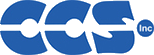 Custom Computer Services(CCS)
