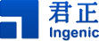 Ingenic Semiconductor