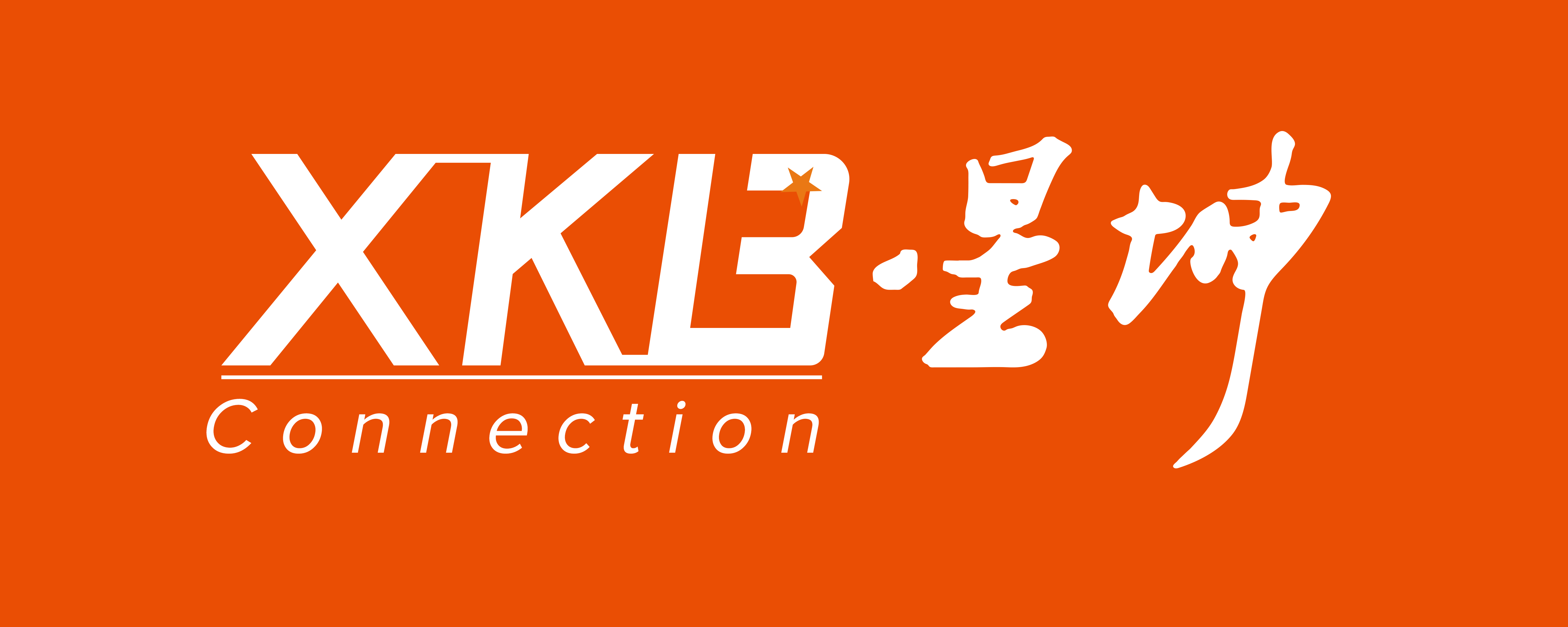 XKB(中国星坤)